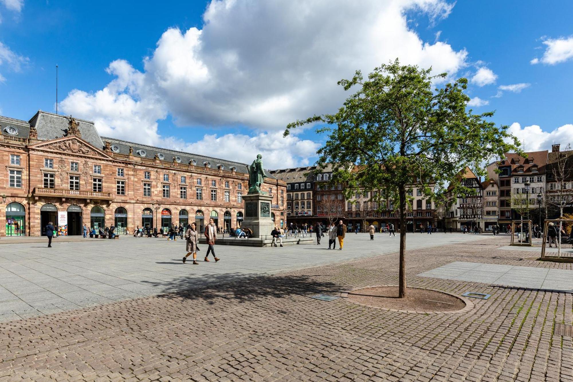Logement Au Centre De Strasbourg Estrasburgo Exterior foto